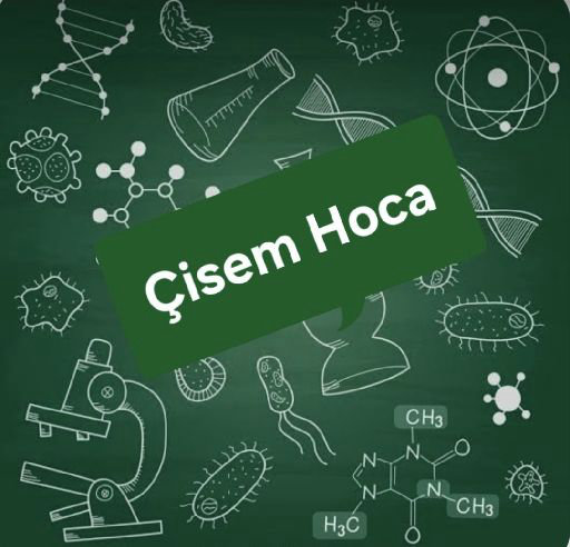 Çisem G.