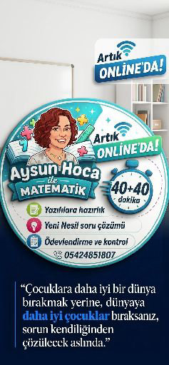Aysun K.